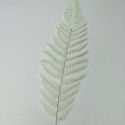 Simulation big Persian leaves home soft wedding decoration Persian leaves simulation plant wall with complete colors 
